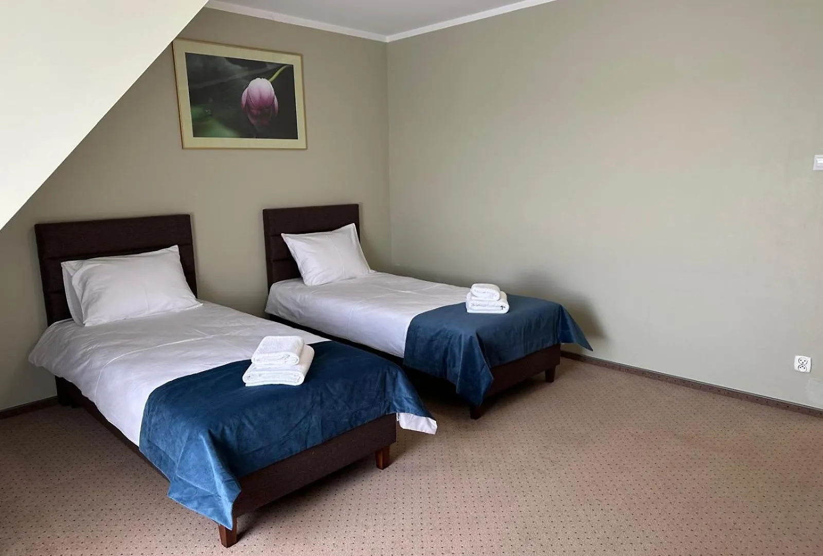Hotel Villa Forest Poznan Poland